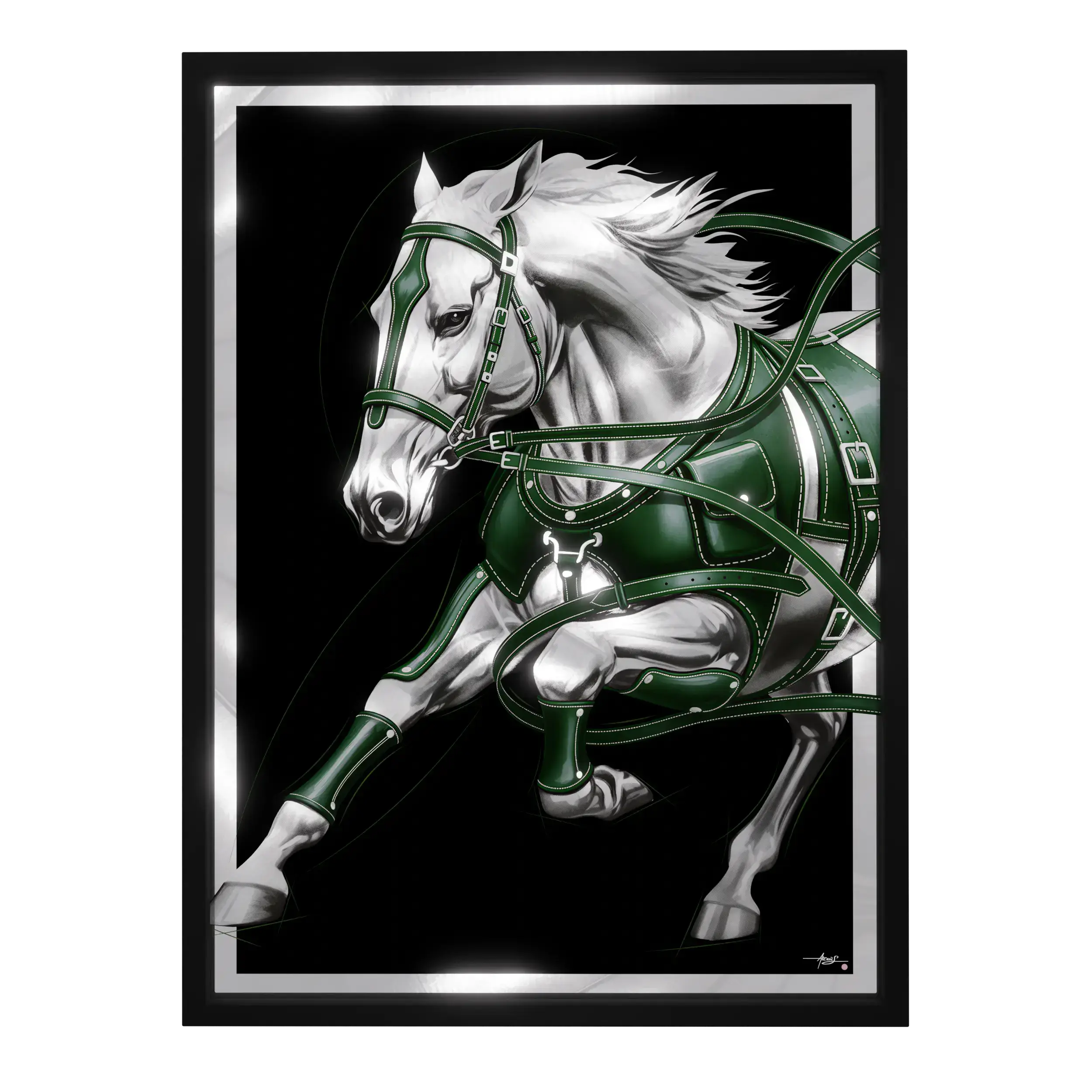 Rider’s Gleam arcanis-gallery